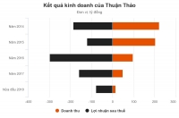 Kiểm toán nghi ngờ hoạt động của đại gia Phú Yên vì khoản lỗ nghìn tỷ